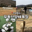 전남73아7000 | [전남 화순] 아이들이랑 가기 좋은 '무등산양떼목장' 양, 알파카, 타조 동물 먹이주기 체험 가능!