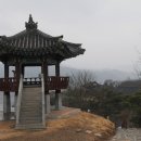 명월 Daum카페