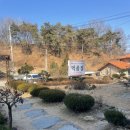 먹골집 | 먹골집(경북 오골계백숙 맛집) 후기