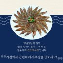 장품게 이미지