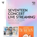 추석맞이 세븐틴 콘서트 관람..하며 적은 실시간 후기 (별내용없음)