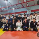 골든라이언 이미지