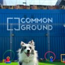 (주)반려동물털로덮인친구들 이미지