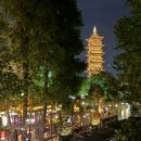 청솔마을 경로식당 | 상하이 우전 수향마을 투어, 상하이에서 2시간 이동하는 동양의 베네치아!(내돈내산 후기)