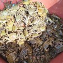 섬진강민물매운탕 이미지