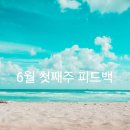 (주)피드백 네이버블로그
