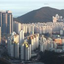 신항부동산중개 이미지