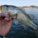 낙동강약국 이미지