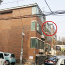 신월동166 이미지