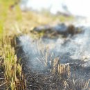 한우사랑목장 이미지