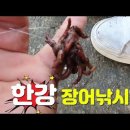 장어낚시의 메카 한강 장어낚시#몬스터피싱#한강지부정출 이미지