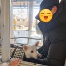 갓바위 켄넬 이미지