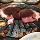 고기싸롱 - 안산시 단원구 선부광장1로 26 | 고기싸롱