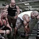 몸짱휘트니스 이미지