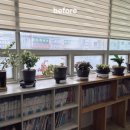 일심당한의원 이미지