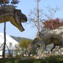 고성공룡박물관야영장 이미지