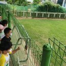 자연숲속나라어린이집 이미지