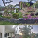 세라의 작은정원 이미지