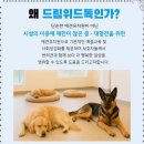 드림애견 네이버블로그