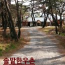 솔밭한우촌 - 문경시 | 솔밭한우촌