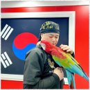 해동검도 장전본관 이미지