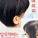 끌림앤유 - 8561 | 끌림앤유