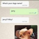 제리스토리 이미지