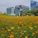 일산문화광장 화장실 이미지