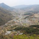 대한수목원