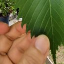 손톱놀이터