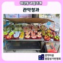 관악청과