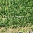 휴; 청송 이미지