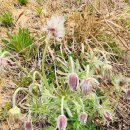 벗길민박 이미지