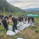 [축산신문] 꿀벌 생태환경 체험 통해 ‘지구 공존의 가치’ 깨달아대전대성고,‘꿀샘식물 심기 체험학습’ 개최 이미지
