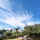 옥천산방라온 이미지