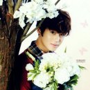 아로마테라피 이미지