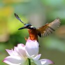 파워라인 이미지