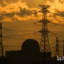 새울태양광발전소 이미지