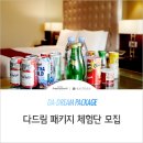 서울패키지