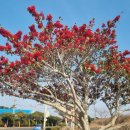 문화마을길 이미지