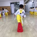 미르태권도스쿨 이미지