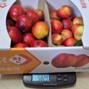 마진농장 이미지