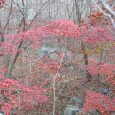 팔영산국립공원 이미지