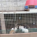 라하농장 이미지