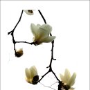 주식회사 다인 이미지