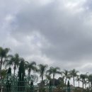 공주하늘 민박 | LA 10일 여행기 9일차 마지막날 드디어 La디즈니랜드 당일치기 후기