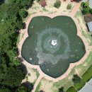 경북대학교 이미지