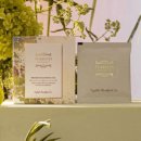 지니 잉글리쉬 이미지