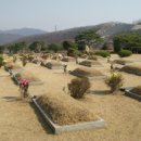 故 김수환 추기경의 묘지와 일반 묘지를 비교해 보니....(퍼온글) 이미지