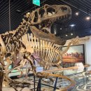 쥬라기풀빌라 이미지